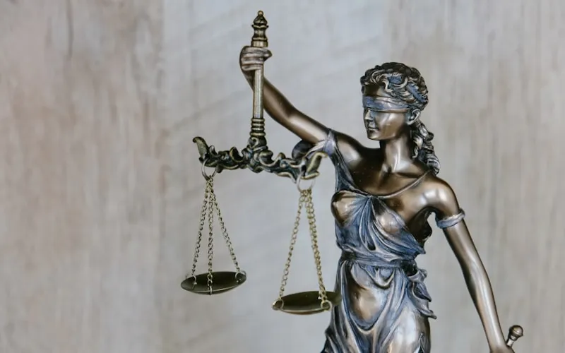 Law Firms Professional law firm office with attorneys reviewing case documents