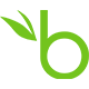 BambooHR